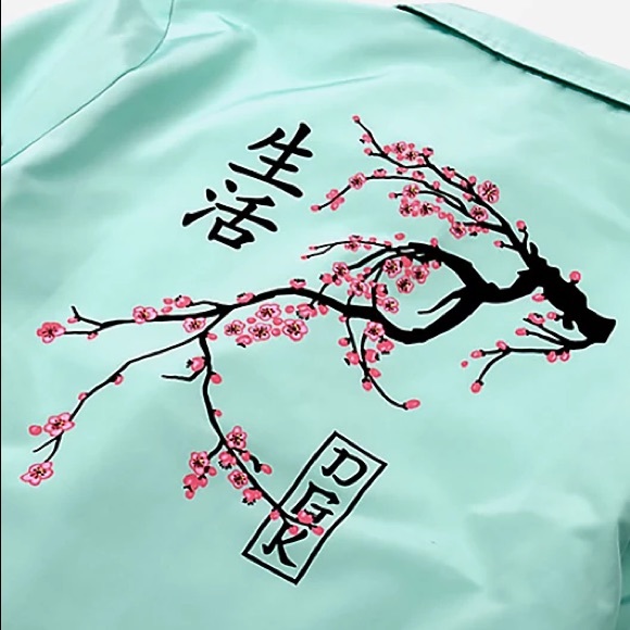 DGK Zen Arise Coaches Jacket, Size (XL), teal green colour way. - Picture 4 of 5